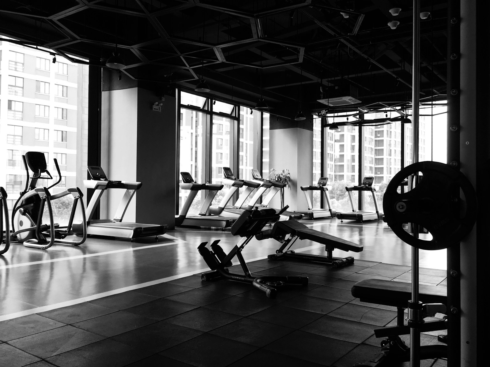 Qu'est-ce que le LISS ? Exploring the benefits of Low Intensity Steady State